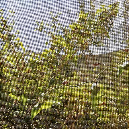 הוילה El Perelló Casa El Dragonet מראה חיצוני תמונה